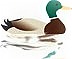 Mallard Grange B&B in Ripon, United Kingdom