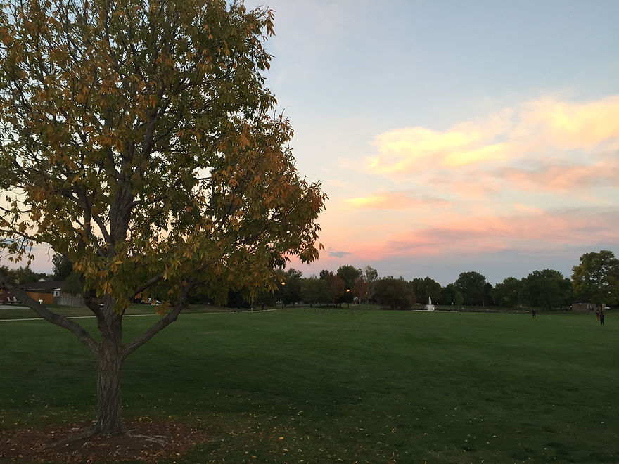 O'Kane Park Sunset