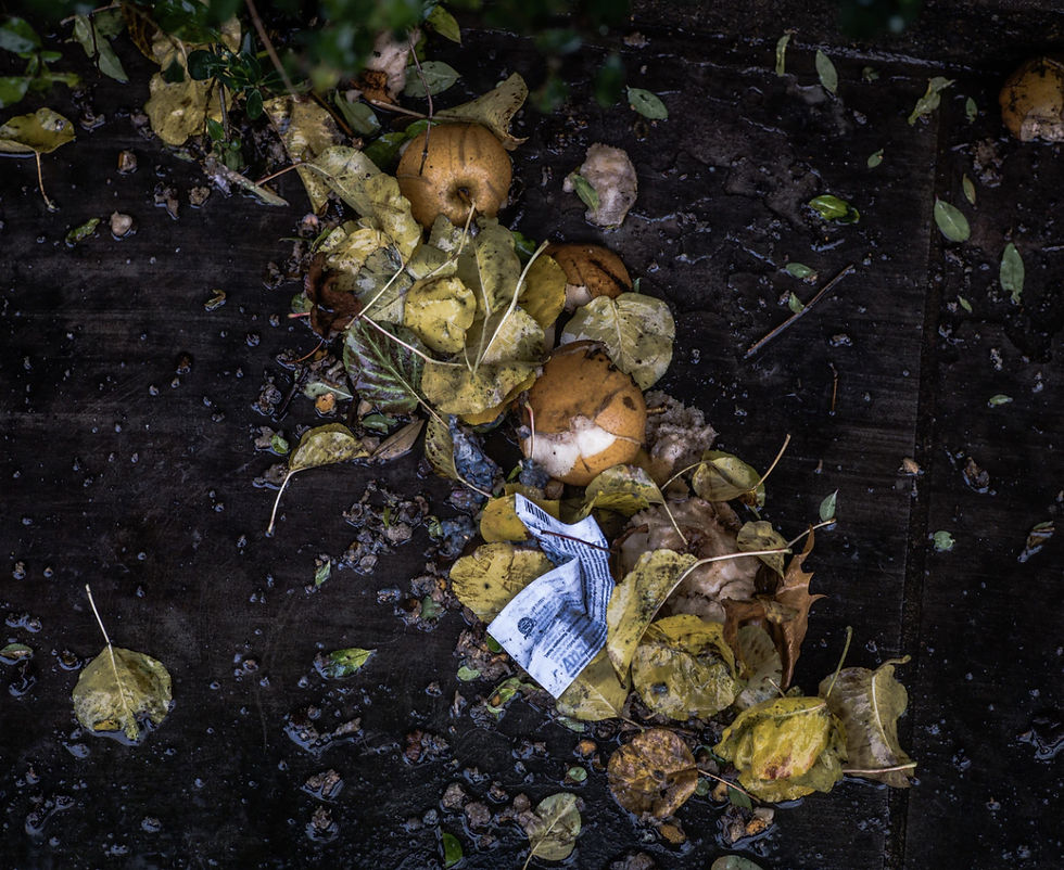 Compost Pilot Program