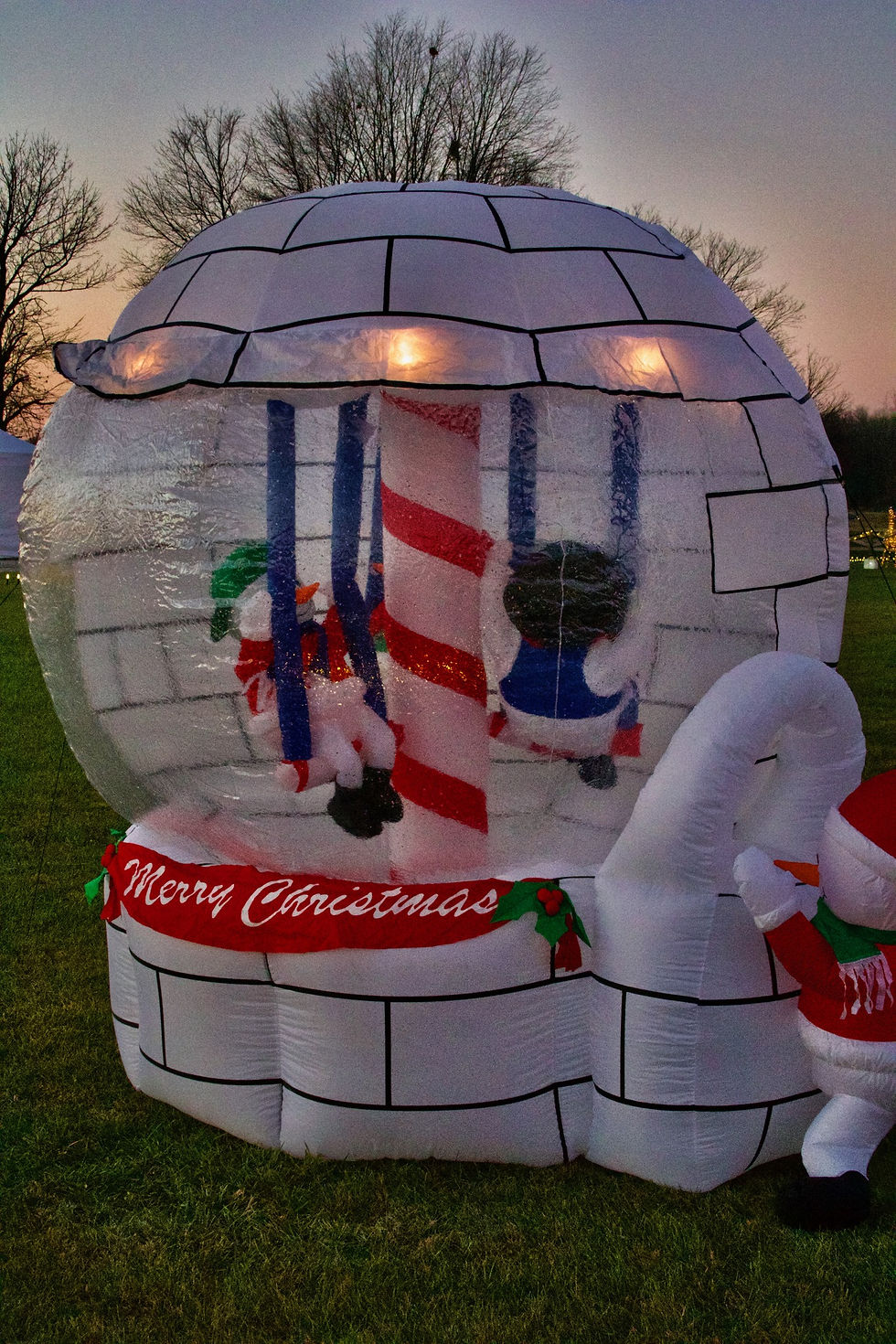IglooSwings Inflatable