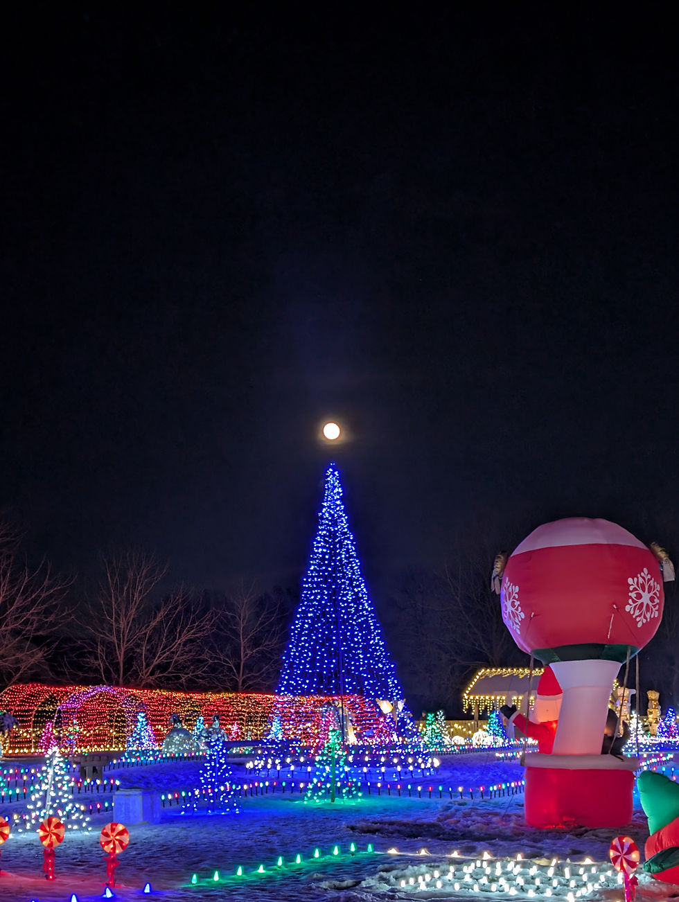 Holly Jolly Lights - Nov 20 - Night