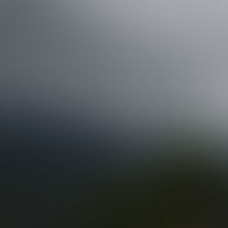 A Different Kind of River