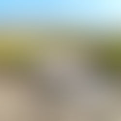 A Future in Regional Stormwater Facilities