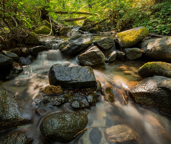 Water flowing over rocks in a stream