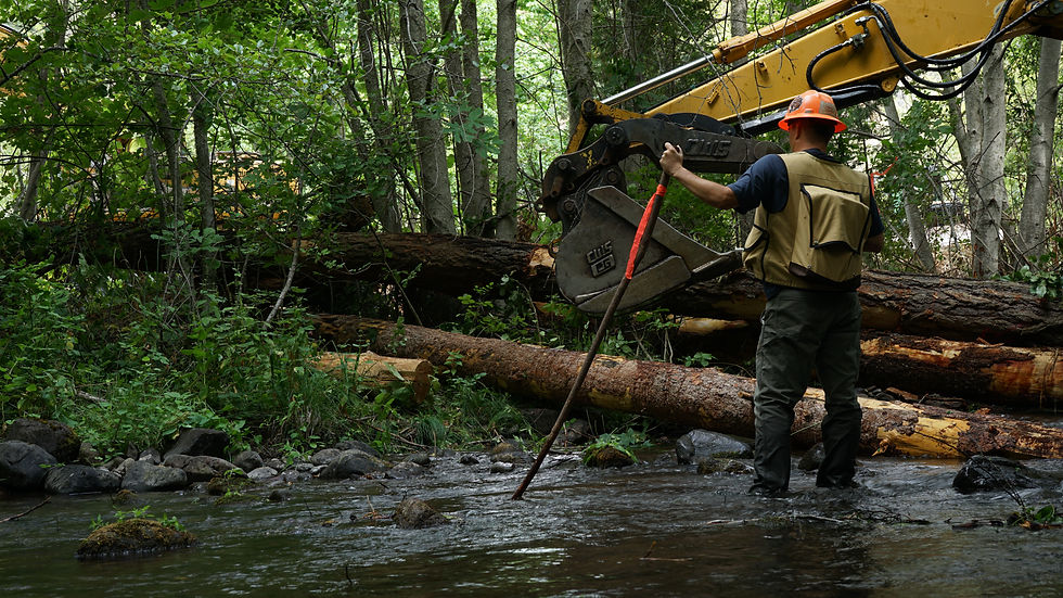 RRWC Restoration Biologist, Lance Wyss, overseeing a large wood structure installation
