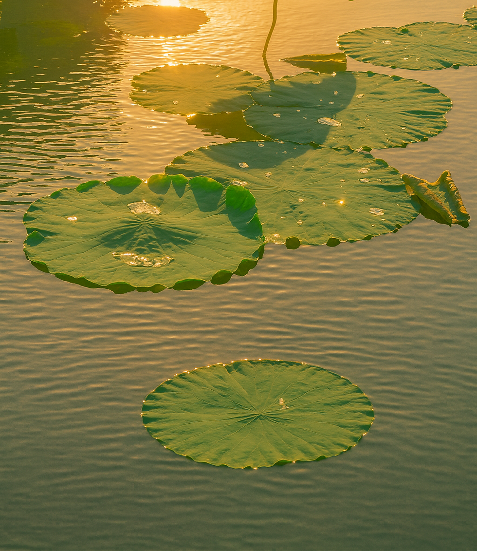 Autumn Skyes_edited.png