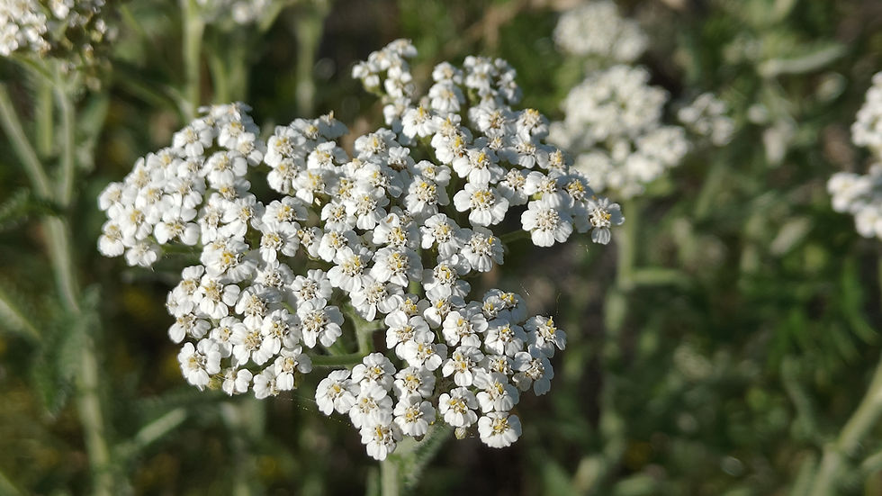 iStock-2269372793.jpg