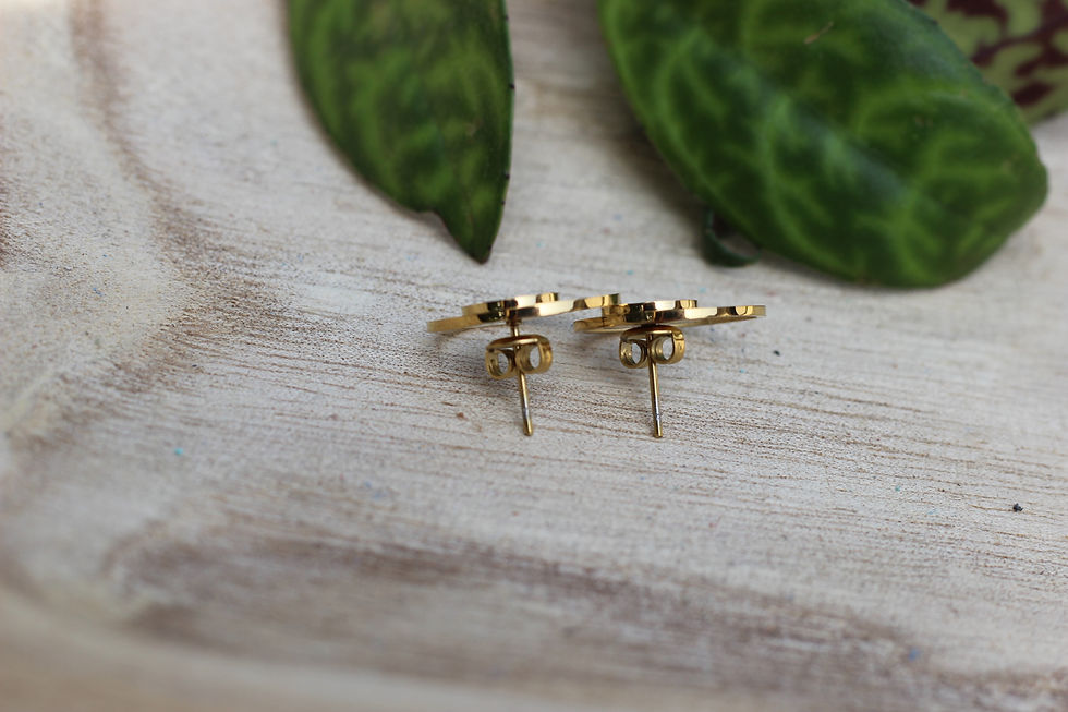 Miniature : Boucles d'oreilles MIA en cuir vert pâle. Attache en acier inoxydable.