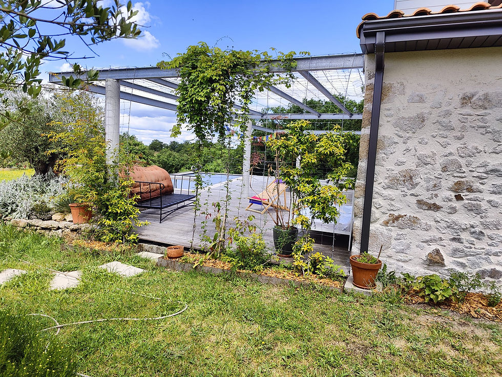 Après chantier Eko Topia Vendée - terrasse et jardin.