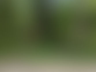 Iona travelling East to Essex….