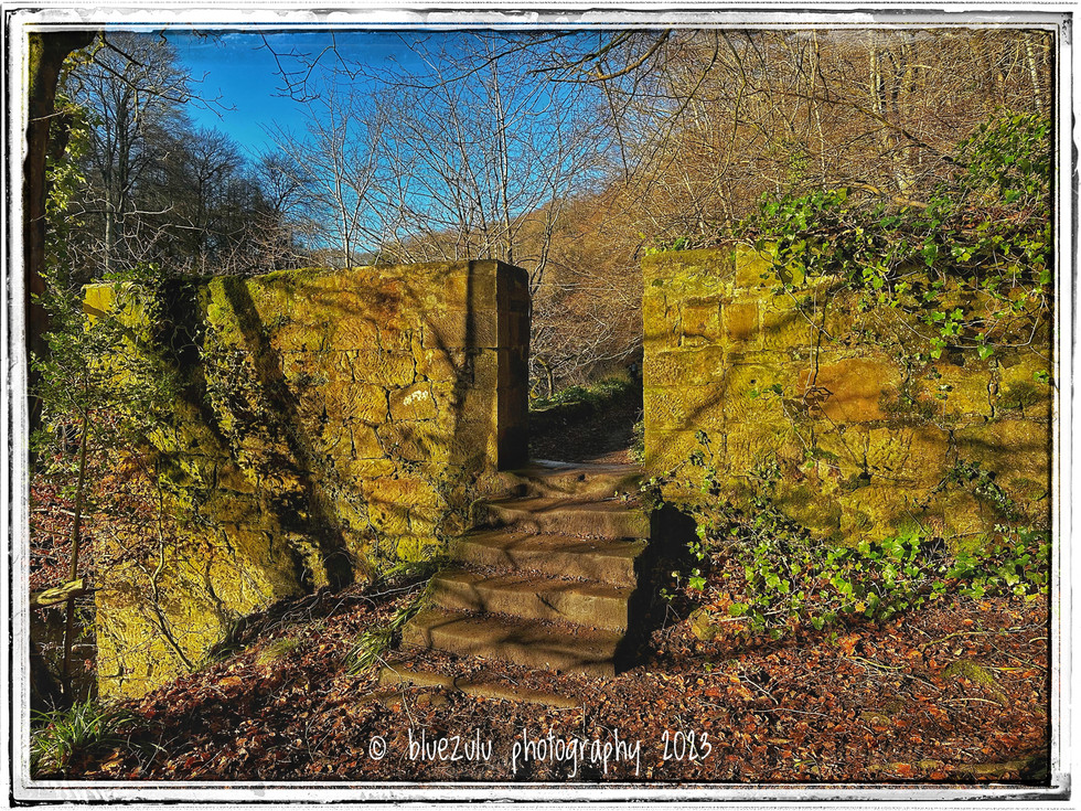 Ayrshire walk 03