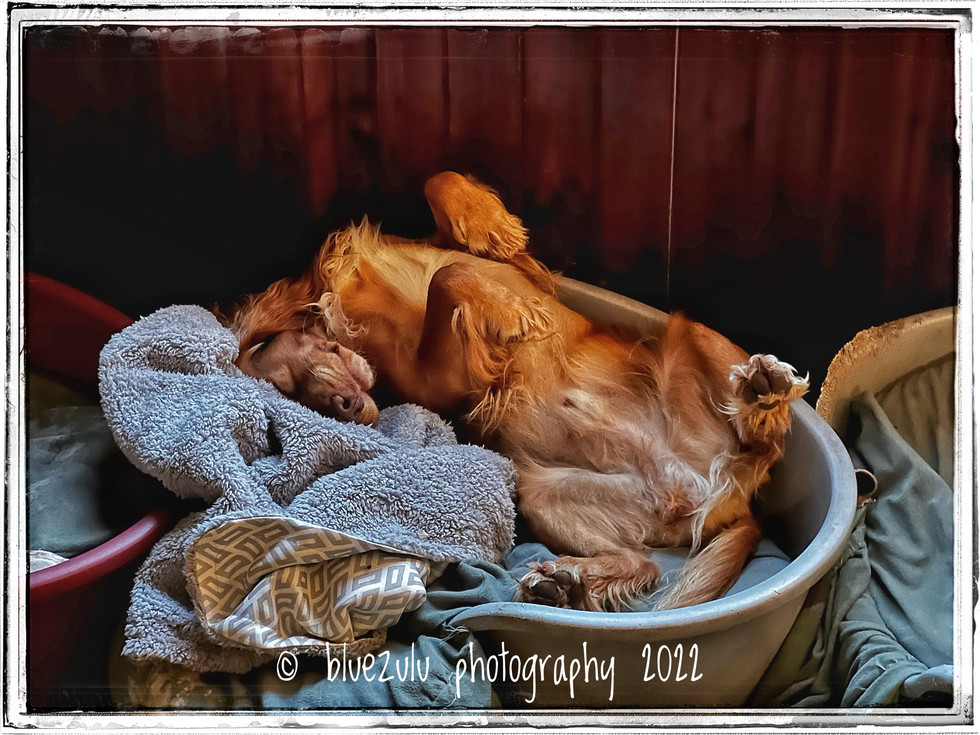 Crashed out!
