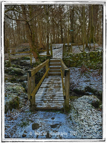 Woodland walk in Pitlochry