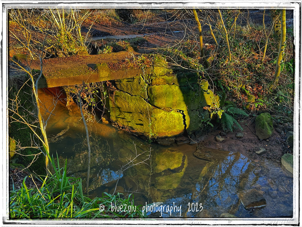 Ayrshire walk 02