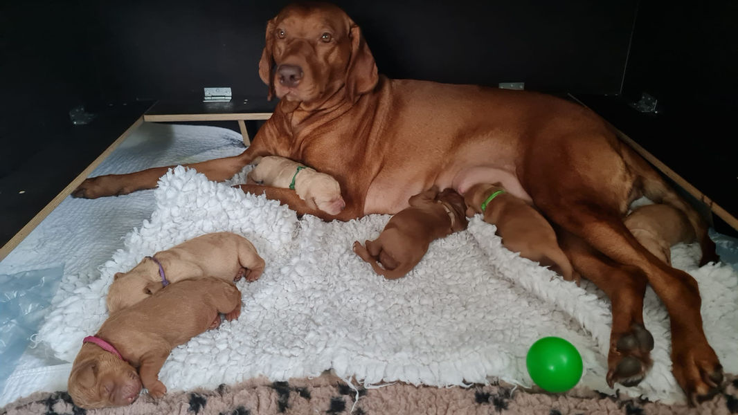 WhatsApp Bild 2023-05-04 um 05.54.05.jpg