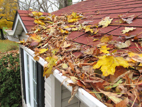 Why Clean Gutter Are So Important !