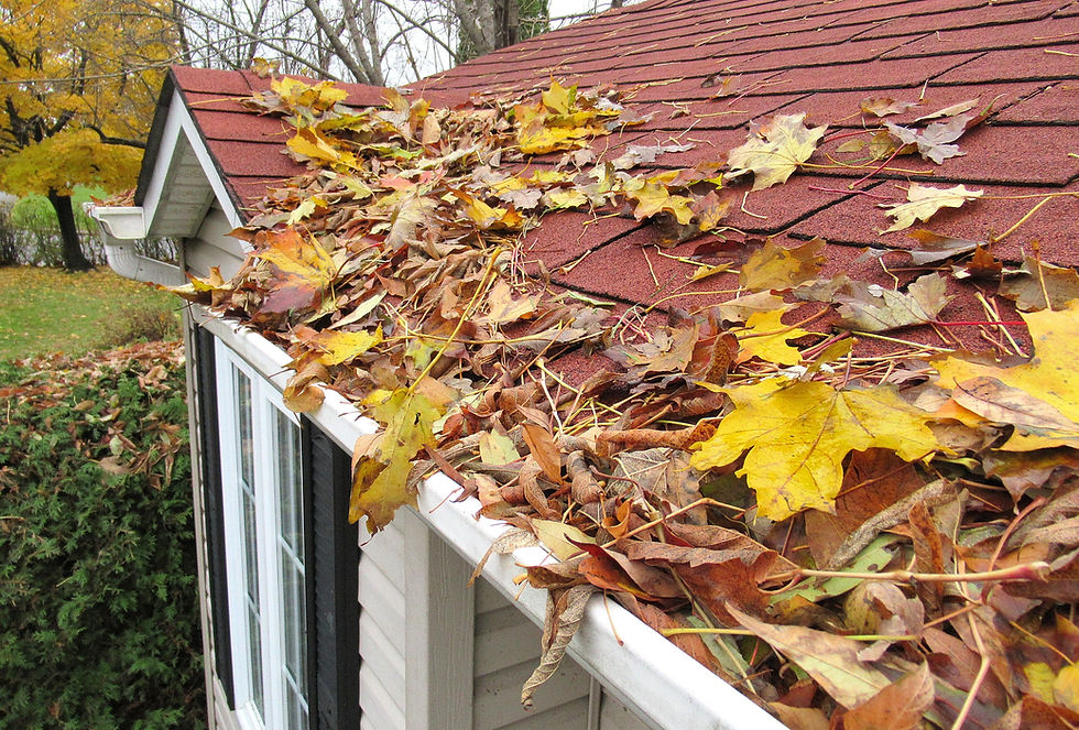 Dirty gutters