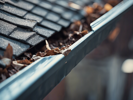 5 Benefits of Getting Your Gutters Cleaned