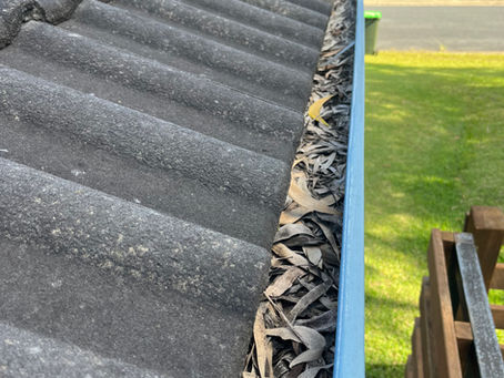 How Often Should You Get Your Gutters Cleaned in Australia?