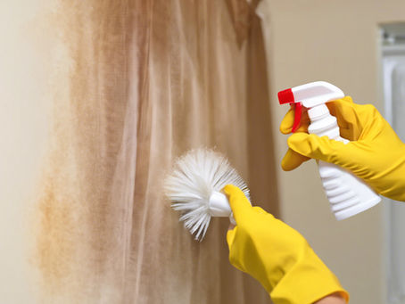 🧼 How to Choose the Right Cleaning Service for Your Home