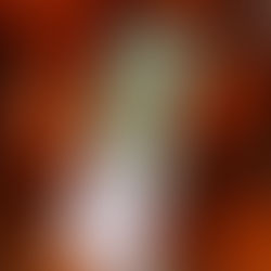 VeggieMap is coming to town!