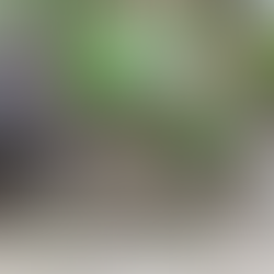 ささやかな楽しみ🌱