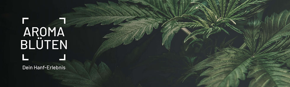 Grinland.de - Dein CBD Shop aus Düsseldorf