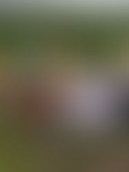 PINK SUMMITS: PRIDE IN DEN BERGEN