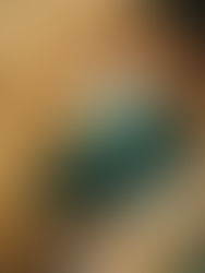 Der Erfolg der Eishockey-Romanze „Heated Rivalry“ wird fortgesetzt: Die Serie, die zum weltweiten Phänomen wurde, wurde offiziell für eine zweite Staffel verlängert. Sie erzählt die leidenschaftliche Liebesgeschichte der Rivalen Shane Hollander und Ilya Rozanov.