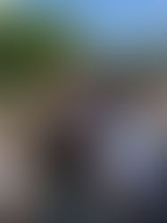 DIE COMMUNITY ZEIGT, EIN CSD BESTEHT NICHT NUR AUS PARTYS