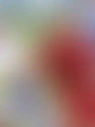 SPORT KANN SO BUNT SEIN