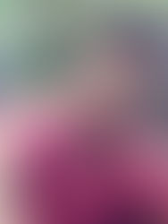 IN THE BLINK OF AN EYE