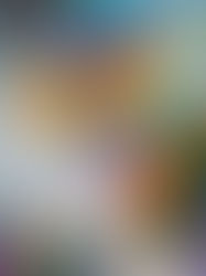 SPORTLER*INNEN FREUEN SICH AUF DÜSSEL-CUP