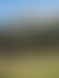 Entfliehe dem Alltag auf der Forsthofalm – einzigartiges Holzhotel in Leogang, umgeben von majestätischer Bergkulisse. Genieße Bio-Kulinarik, Mondholz-Zimmer, Yoga & Outdoor-Abenteuer. Hier bestimmst du deinen Rhythmus.