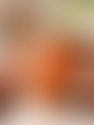 Bebird EarSight Ultra X im Überblick: Ohrkamera mit App, flexibler Kameraschlauch, vielseitiges Zubehör und rund 80 Minuten Akkulaufzeit.