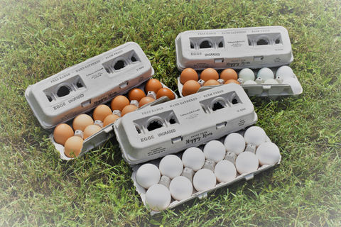 fresh farm eggs