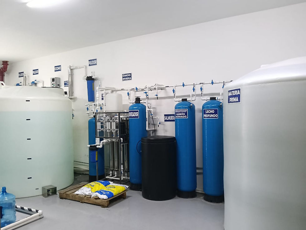 WhatsApp Image 2025-09-11 at 19.55.24.jpeg