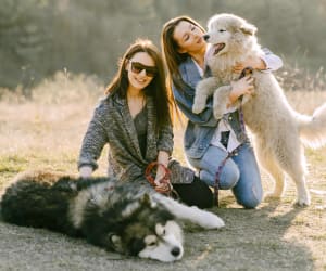 Buono Regalo Pacchetto Scuola del Cucciolo (DISPONIBILE A ROMA SUD)
