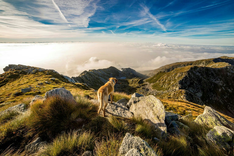 Escursione con il cane sul Monte Carpegna