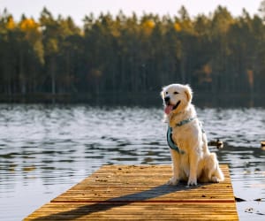 Buono Regalo Esperienze Kanito