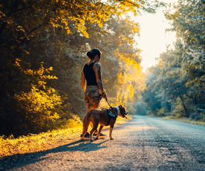 Dog trekking con guida: 1 giornata 1 adulto con cane + Localizzatore GPS per cani