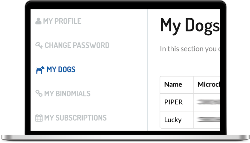 dog sports events athlete results