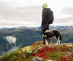 Dog trekking con guida: 1 giornata 2 adulti con cane