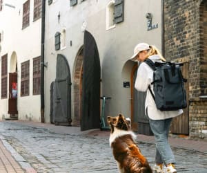 Passeggiata in gruppo con educatore cinofilo: 1 adulto con cane