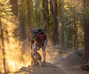 Dog trekking con guida: weekend 2 giornate 2 adulti con cane (pernottamento escluso)