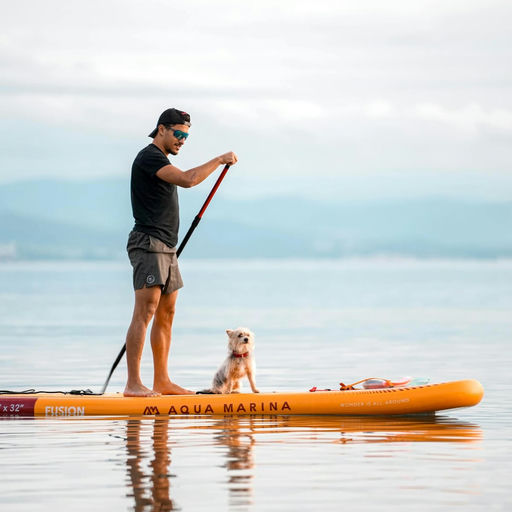 Surf in piedi con il cane vicino Macerata