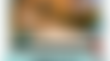 Последните ни медийни участия