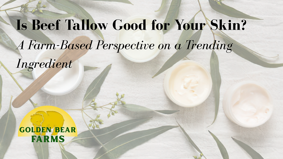 beef tallow sheboygan wisconsin