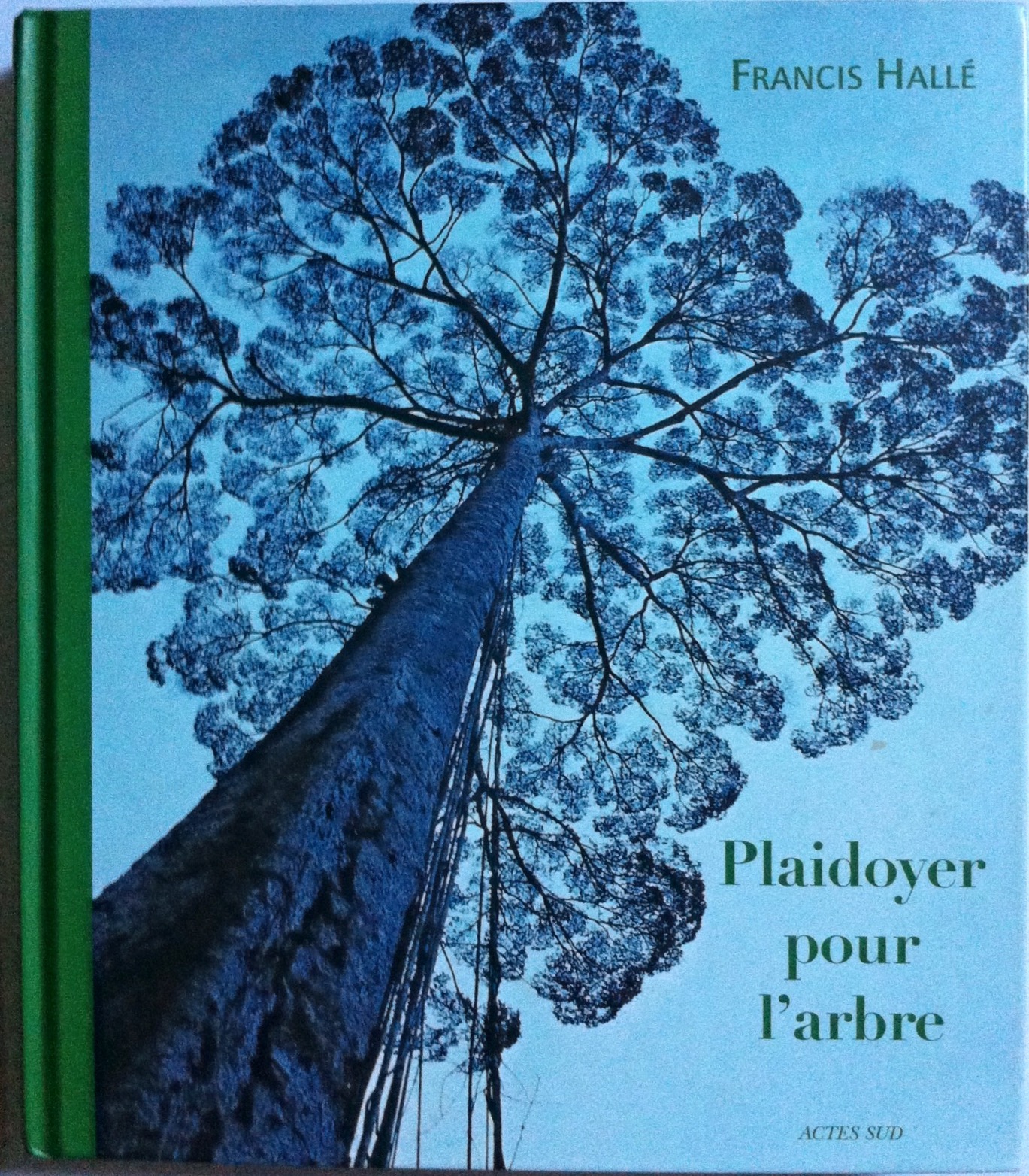 Plaidoyer pour l'arbre