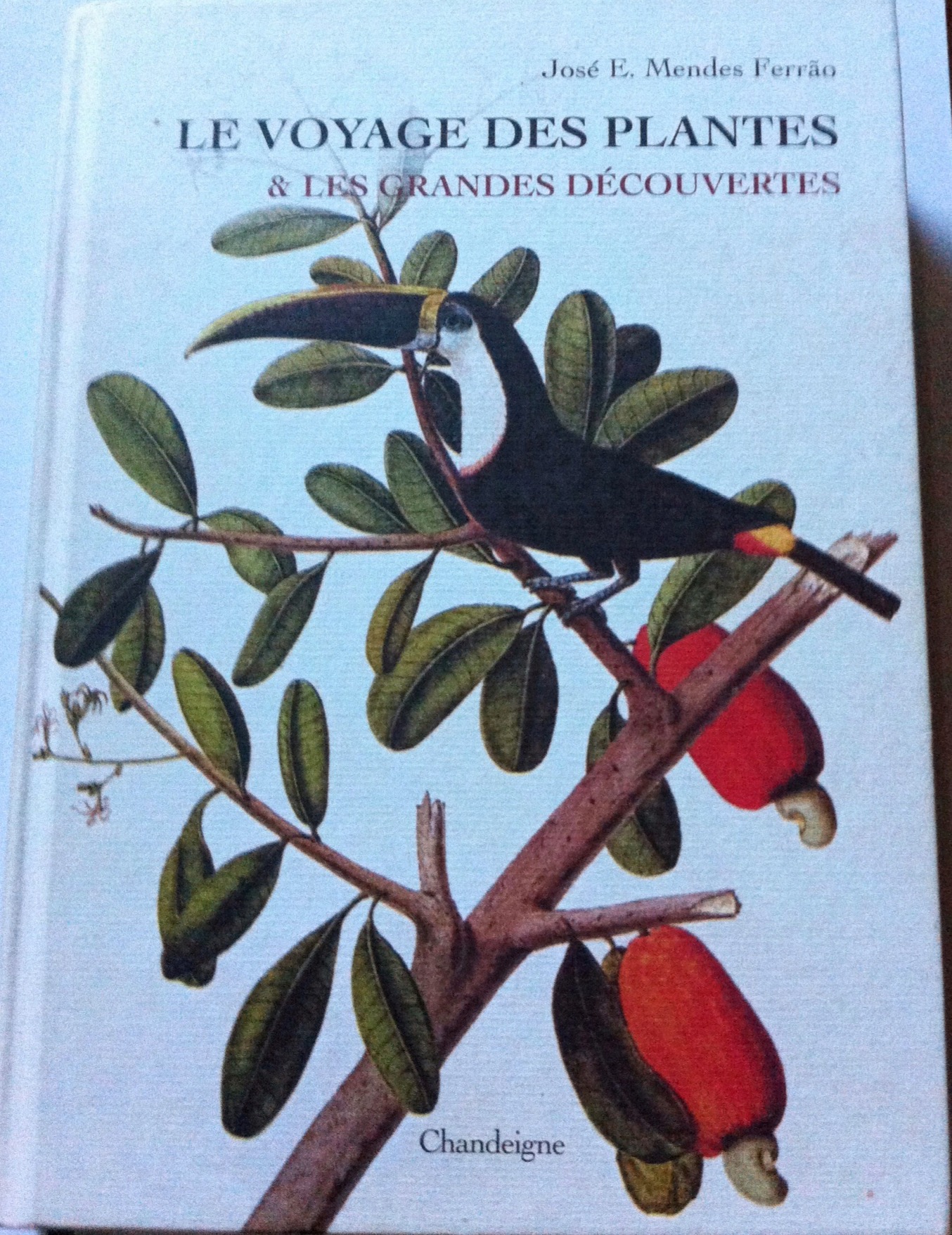 Le voyage des plantes